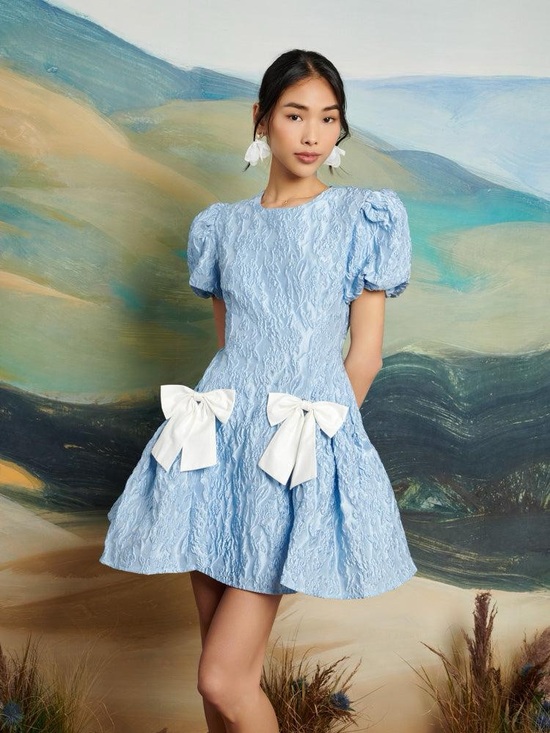 Sister Jane Dresses & Skirts - Dream Sister Jane jacquard bow mini dress in powder blue